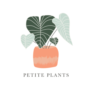 Logo Design by Kimh for this project | Design: #26421710