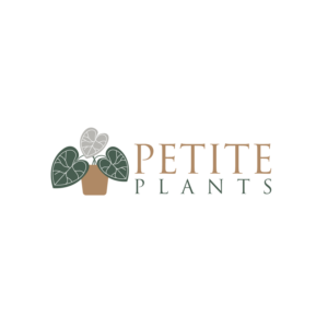 Logo Design by geni for this project | Design #26415342
