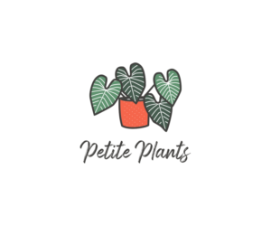 Logo Design by World Beyond