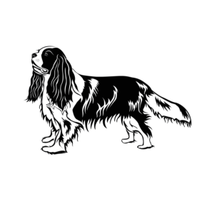 Logo Design by KeyLee