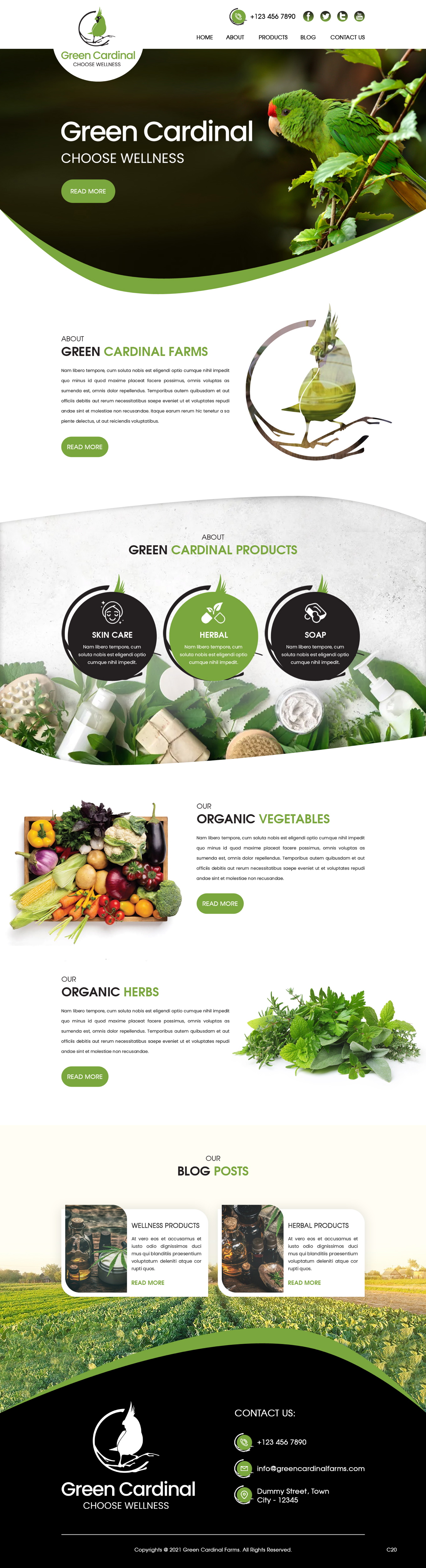Web Design by pb for this project | Design #26419881