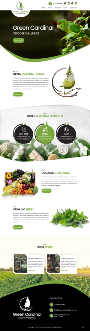 Web Design by pb for this project | Design: #26419881