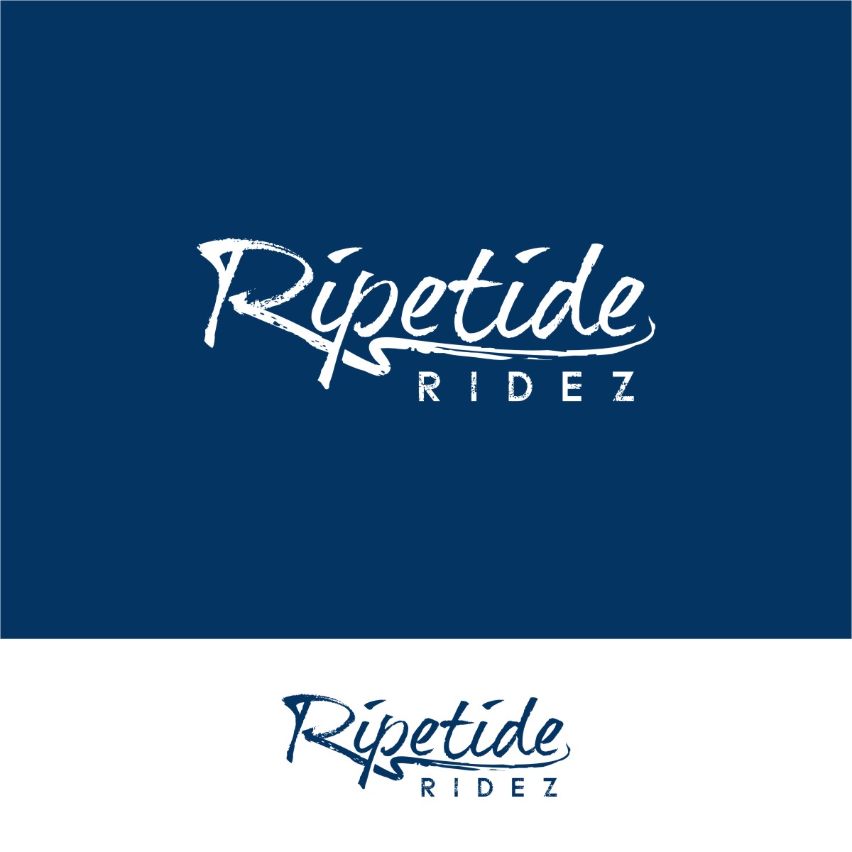 Logo Design by Ashani Bhattacharya for Triangle Motorsports | Design #26427920