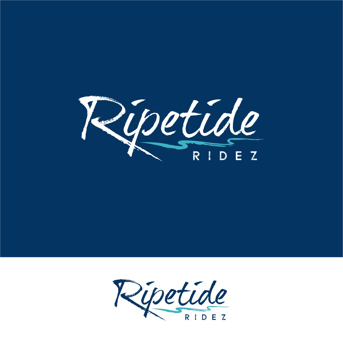 Logo Design by Ashani Bhattacharya for Triangle Motorsports | Design #26427922