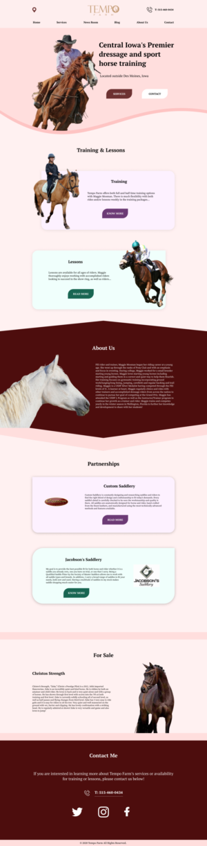 Web Design by SiDzigns