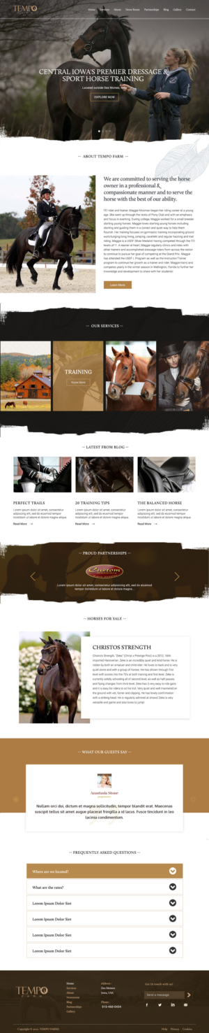 Web Design by AVGraphic