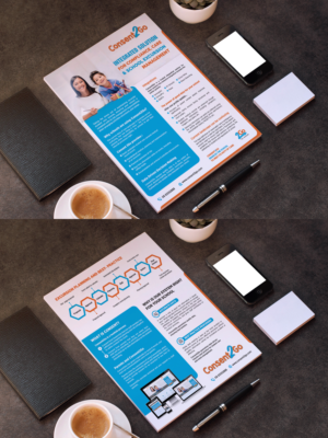 Consent2Go System capability overview digital brochure | Brochure Design by GraphicsGuru