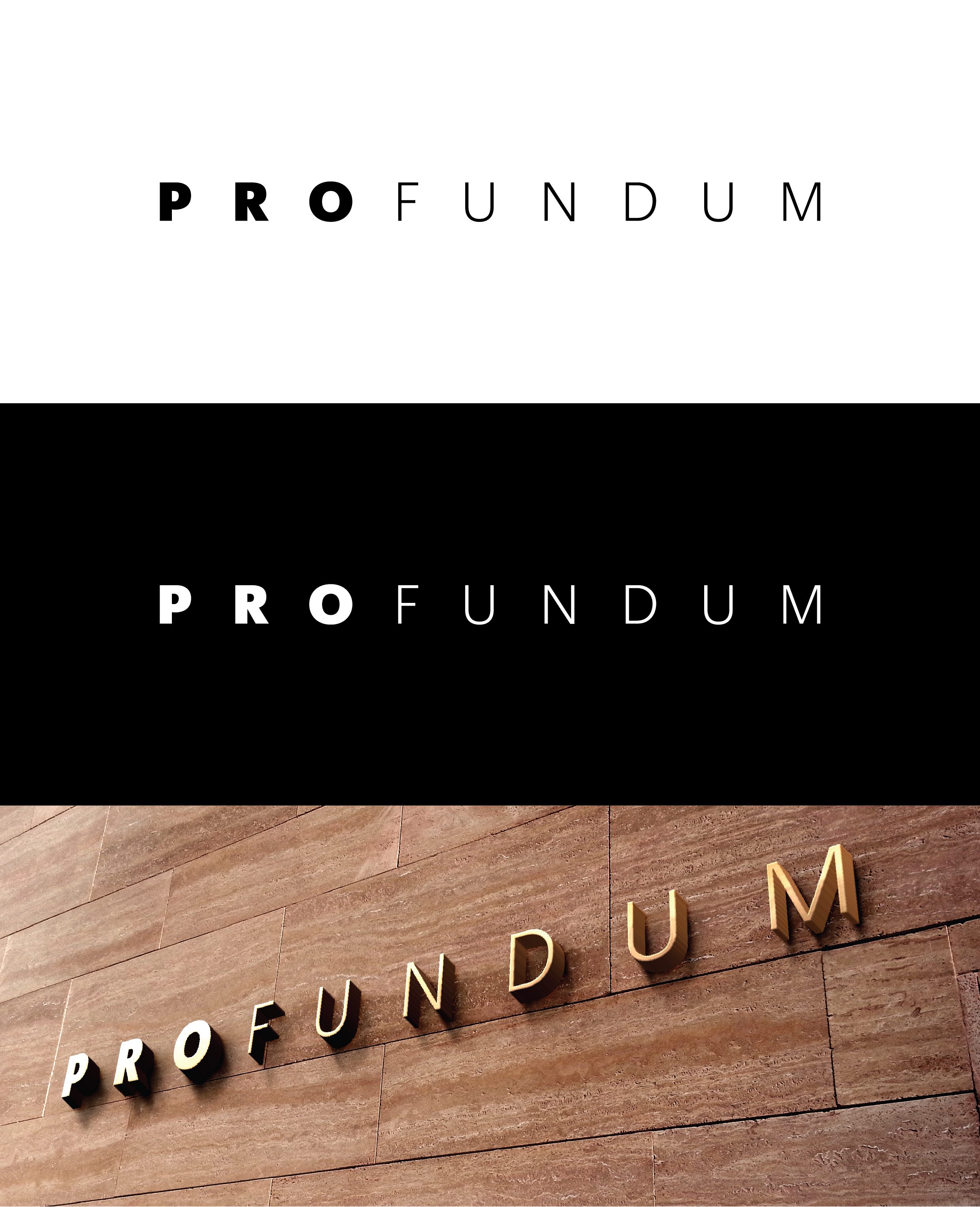 Logo Design by bebe.taureau for Profundum d.o.o. | Design #26461911