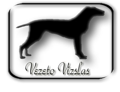 Logo Design by Jamaliquise DeQuan for this project | Design #3044461