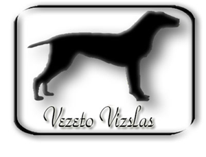 Logo Design by Jamaliquise DeQuan