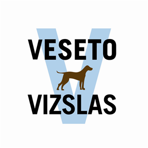 Logo Design by Ava81 for this project | Design: #3046043