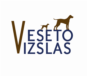 Logo Design by Ava81 for this project | Design: #3046044