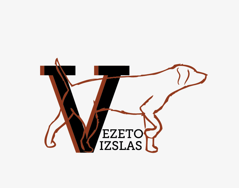 Logo Design by AbnerGD for this project | Design #3073664