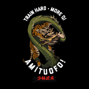 Shaolin Kung Fu Club T Shirt Design | T-Shirt-Design von Voltage Gated