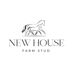 Logo Design by Marta Sobczak 