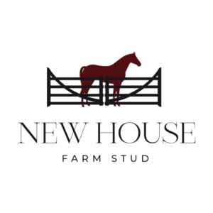 Logo Design by Marta Sobczak  for this project | Design: #26467858