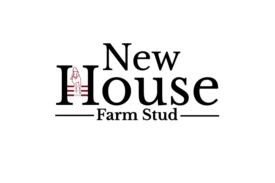 Logo Design by KREATIVE S - LOGO DESIGN for this project | Design #26451025