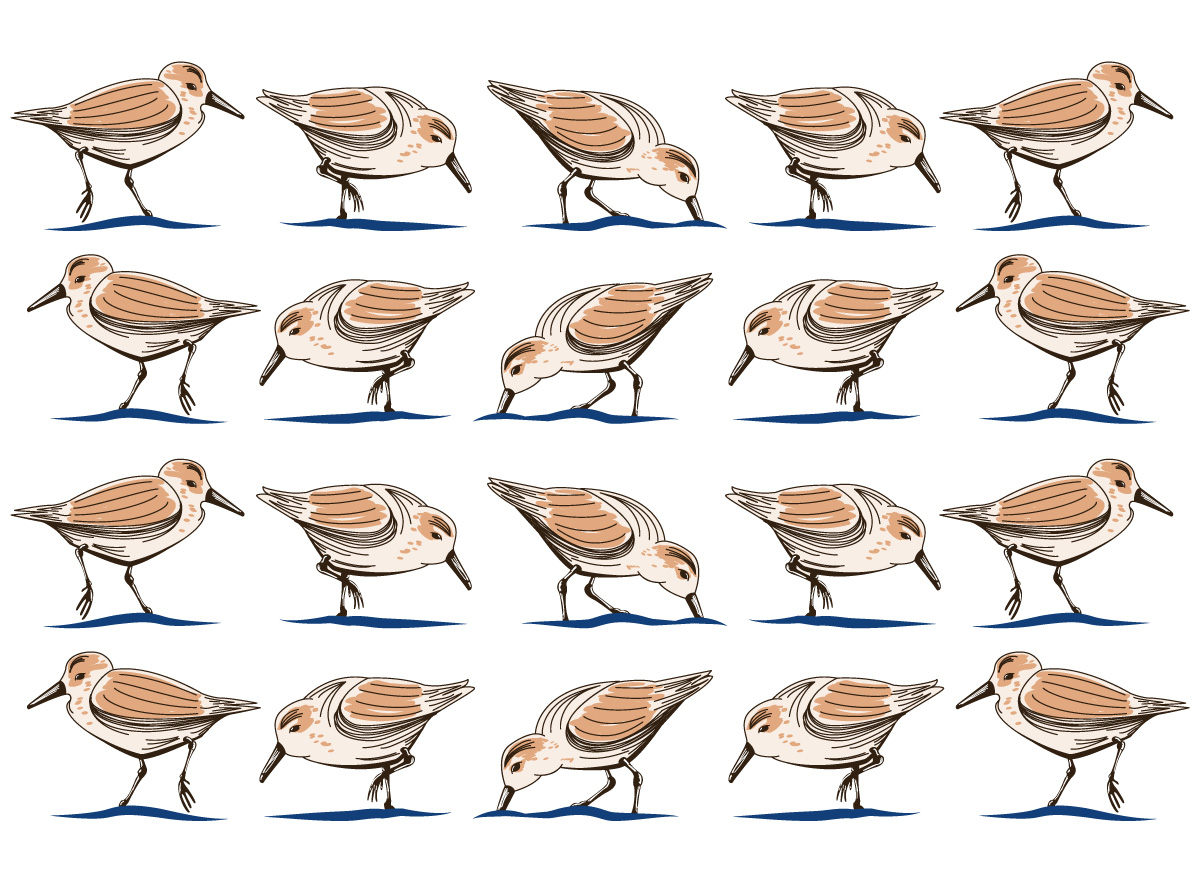 Vector Design by SpaGGy for Shelfie Shoppe | Design #26499996