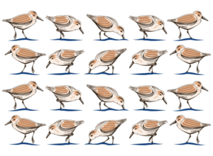 Vector Design by SpaGGy for Shelfie Shoppe | Design: #26499996