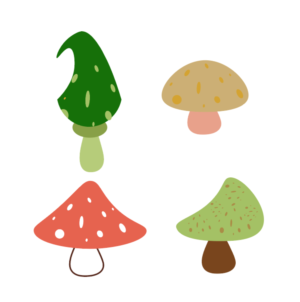 Vector Design by Vogue6 for Shelfie Shoppe | Design: #26485473