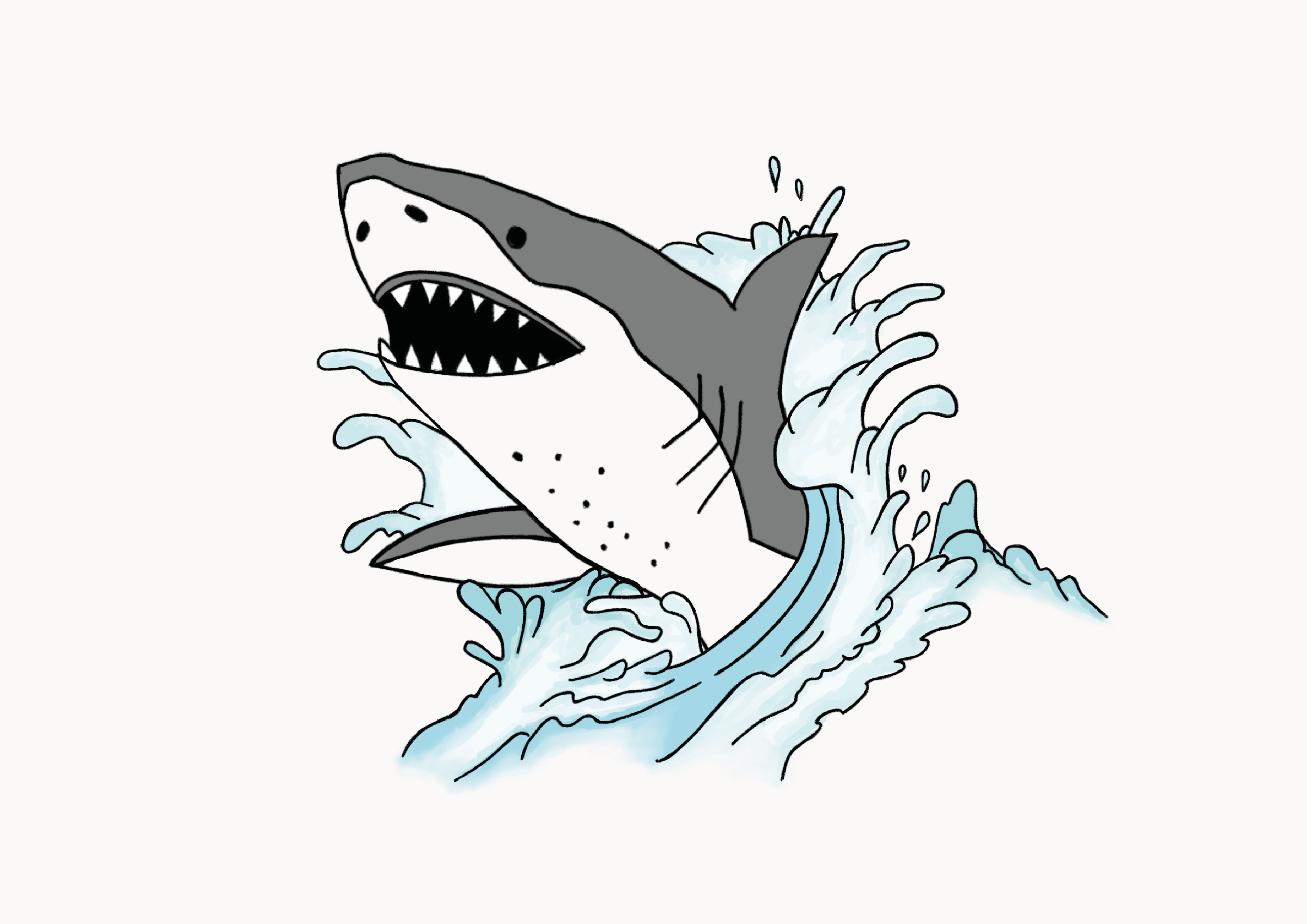 Graphic Design by Denisa Hamplová for Shark City Surfboards  | Design #26457244