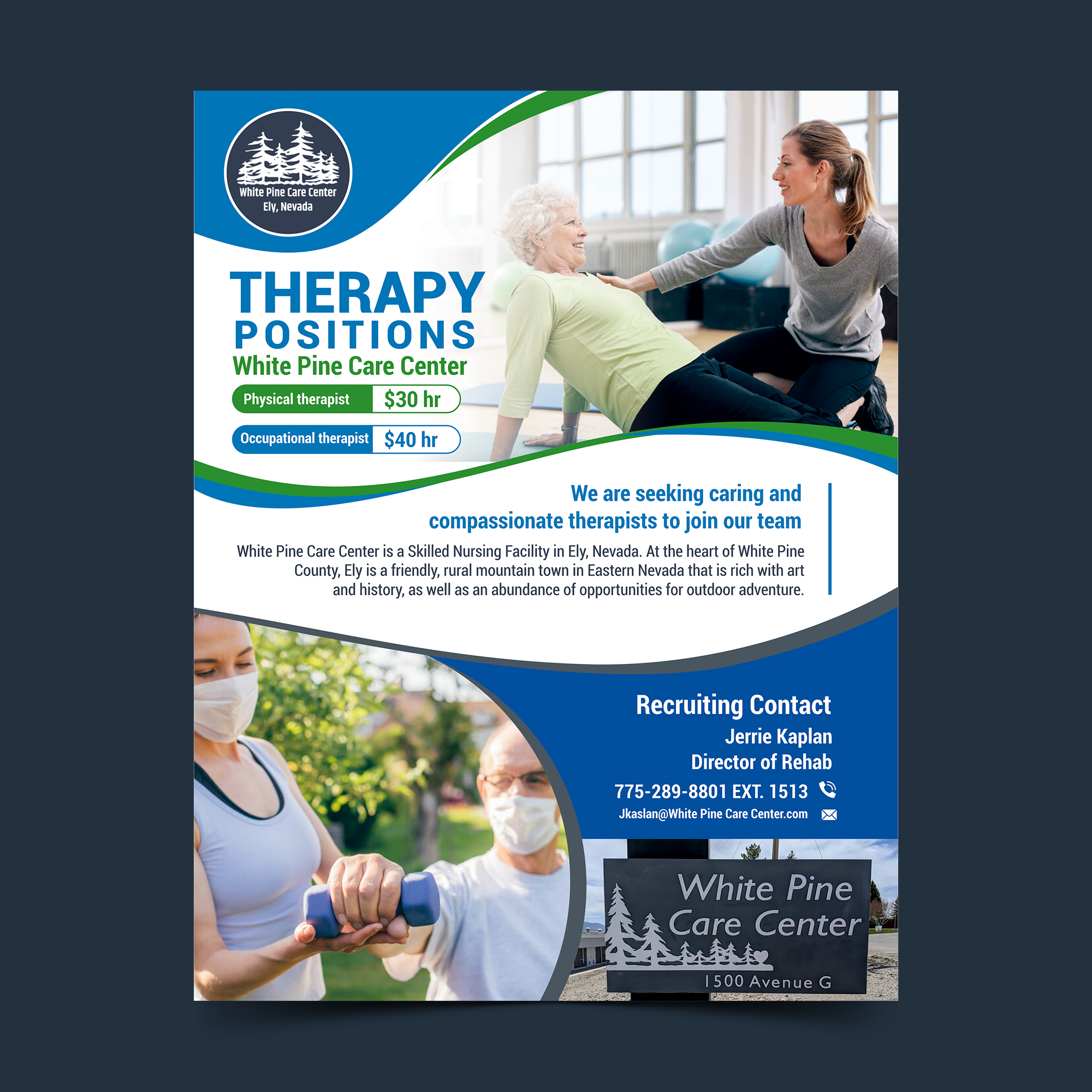 Diseño de Flyer por ecorokerz para White Pine Care Center | Diseño #26462292