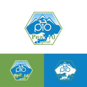 Peak 10 Capital  | Logo Design by Maxo-Biz