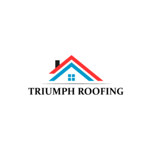 Logo Design by Widphic