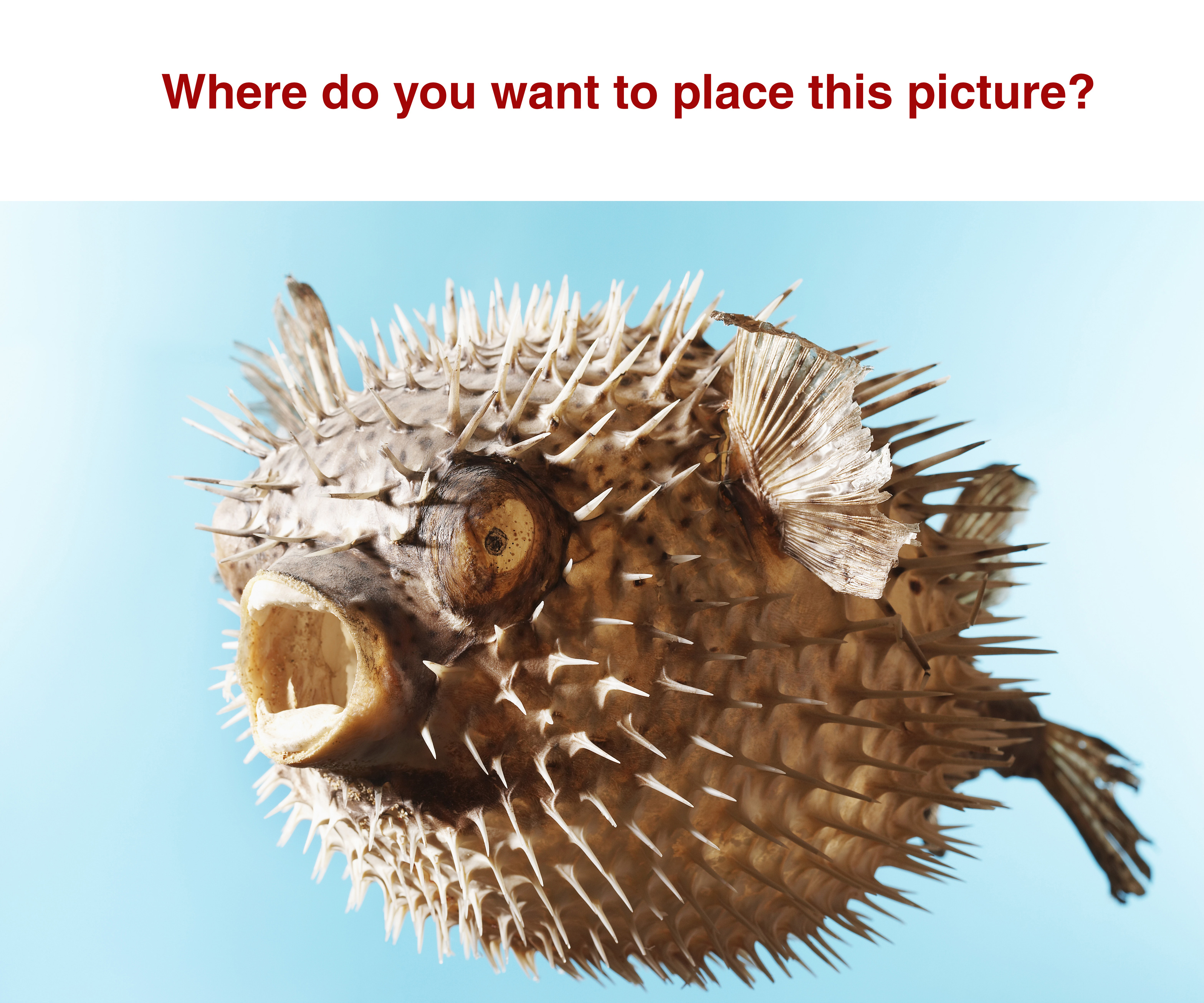 Web Design by sayed_ahasan for this project | Design #26822590