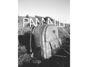 PANNALLI MILANO | Logo Design by JTdsign