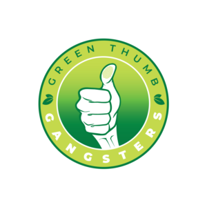 Design de Logo par Laura 36 pour ce projet | Design : #26489934