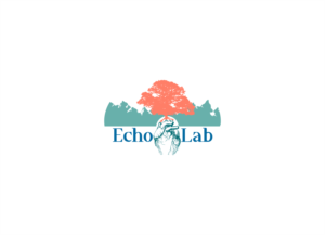 Logo Design by divergent
