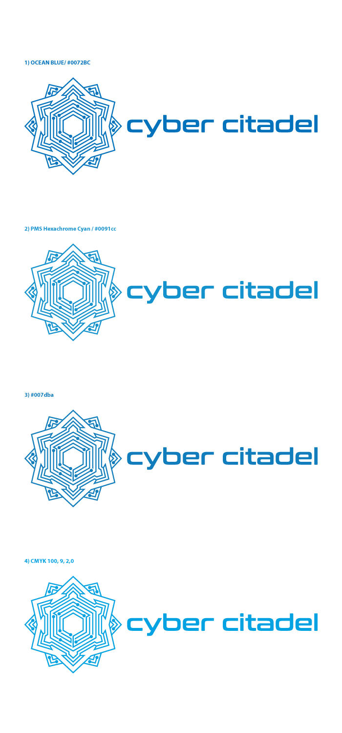 Logo Design by anshtoyj for this project | Design #26475186