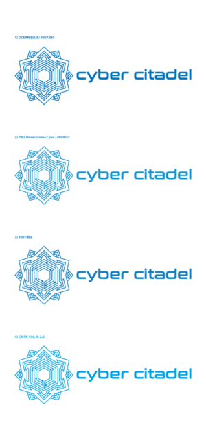 Logo Design by anshtoyj