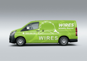 Car Wrap Design by Adi Saos