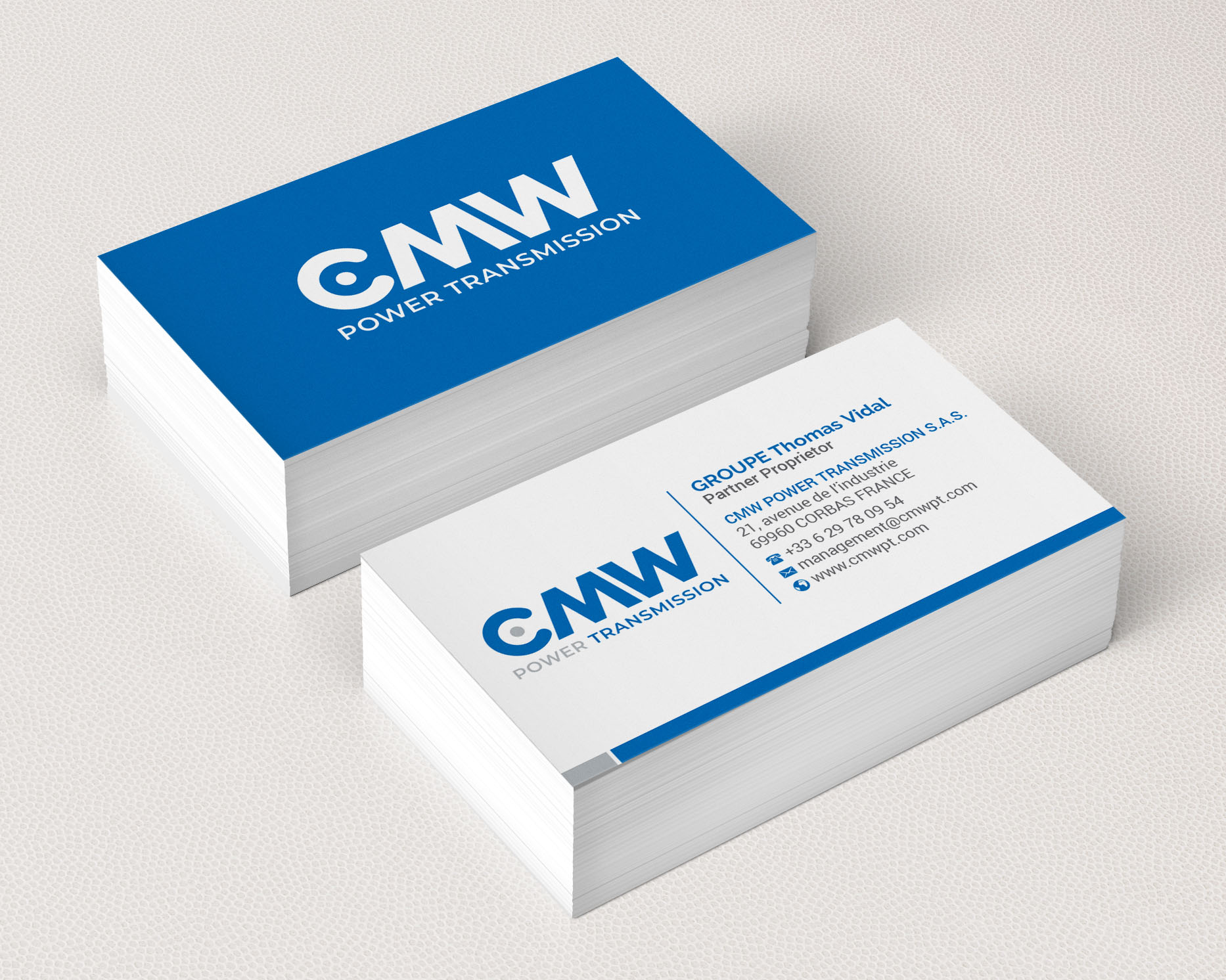 Logo-Design von R.design für GROUPE Thomas Vidal | Design #26533135