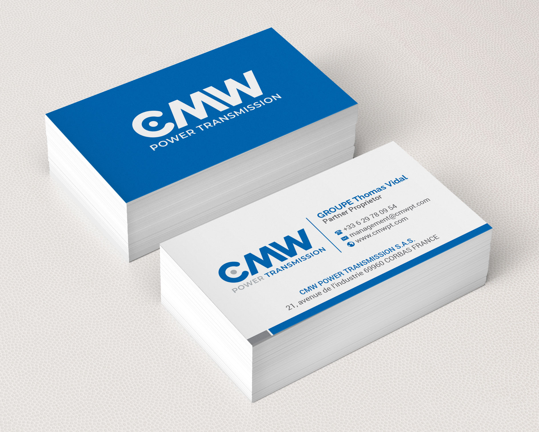 Logo-Design von R.design für GROUPE Thomas Vidal | Design #26533156