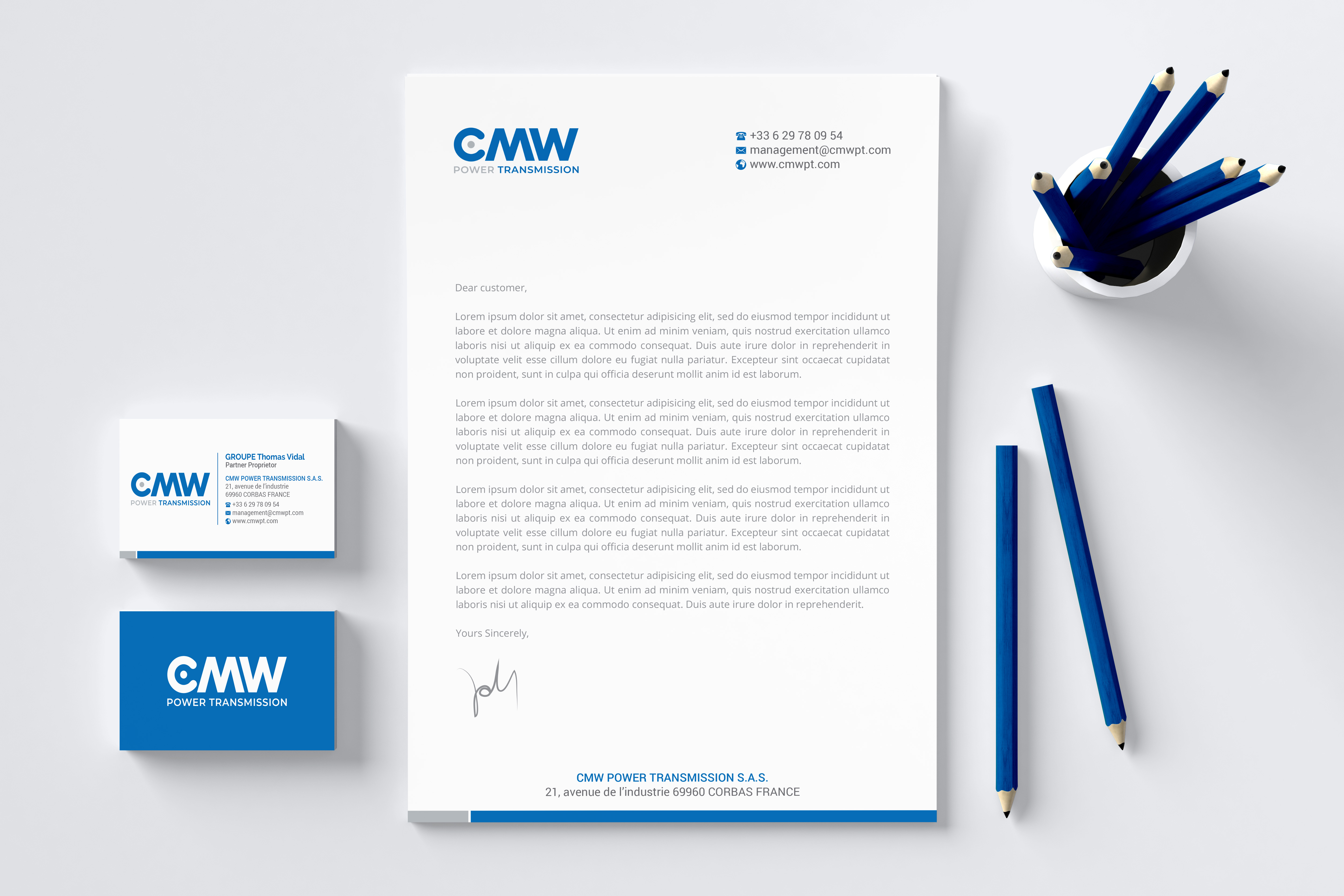 Logo Design by R.design for GROUPE Thomas Vidal | Design #26535207