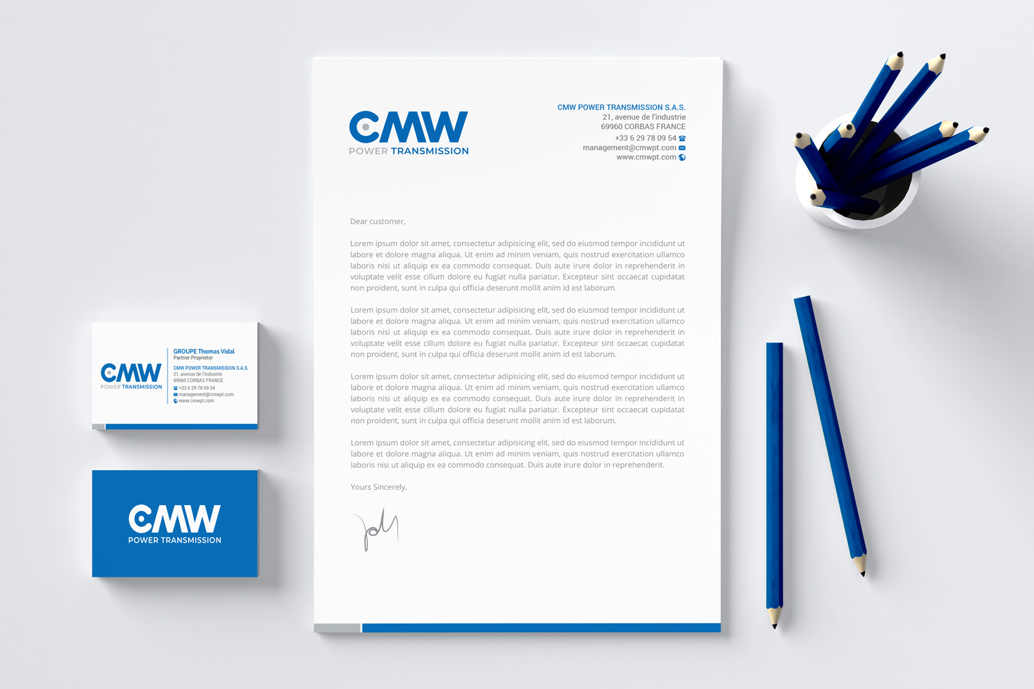 Logo Design by R.design for GROUPE Thomas Vidal | Design #26535251