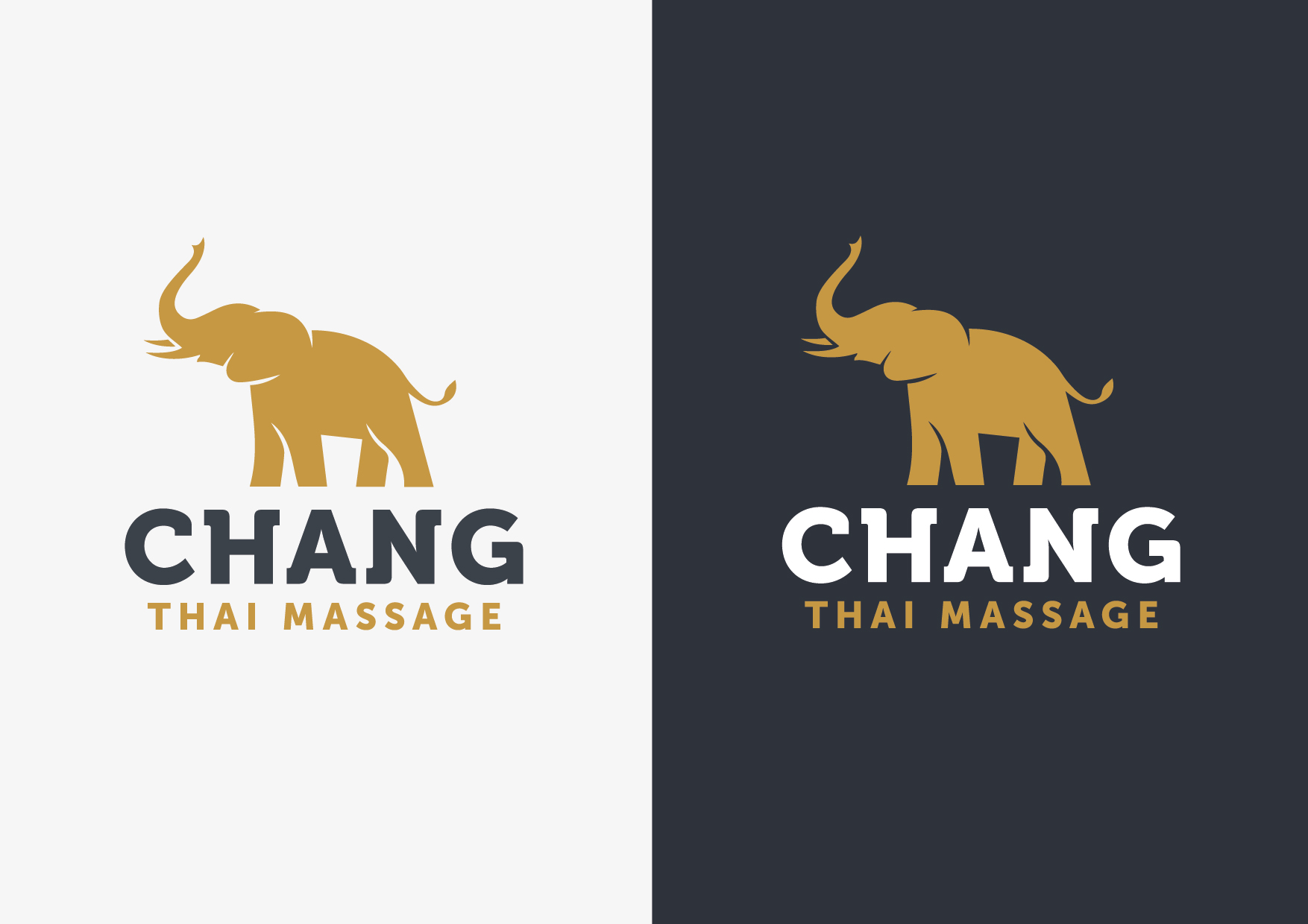 Logo Design by grrssn for this project | Design #26493172