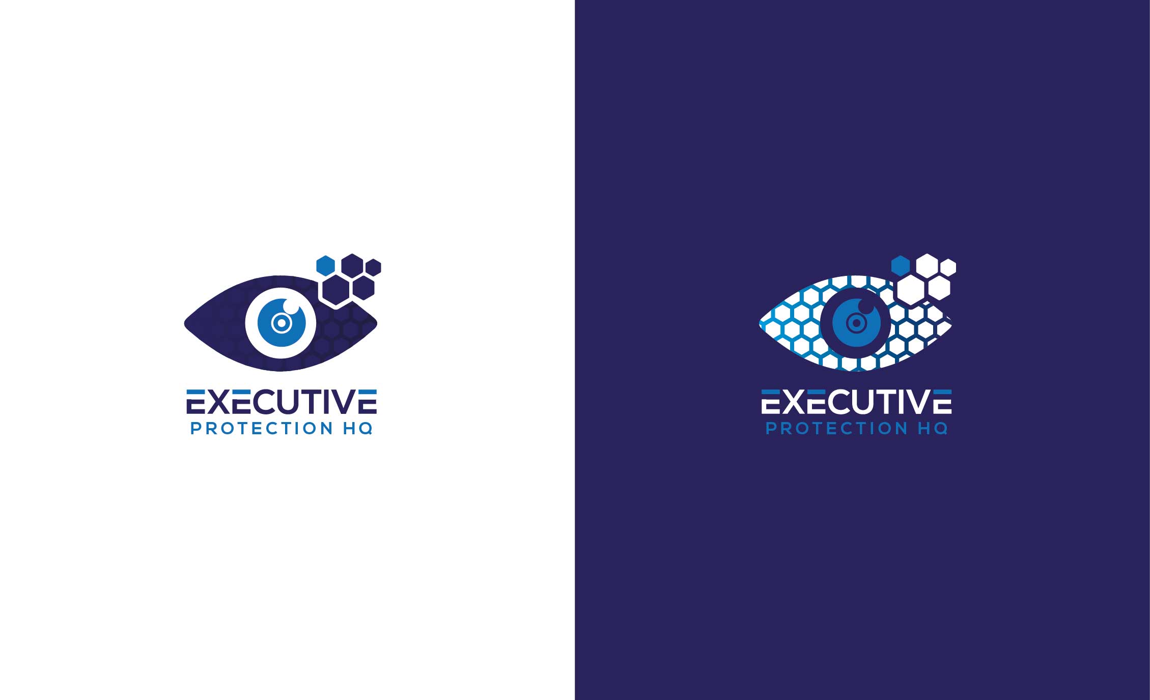 Logo Design by Anton for 360 Protective Solutions LLC | Design #26497631