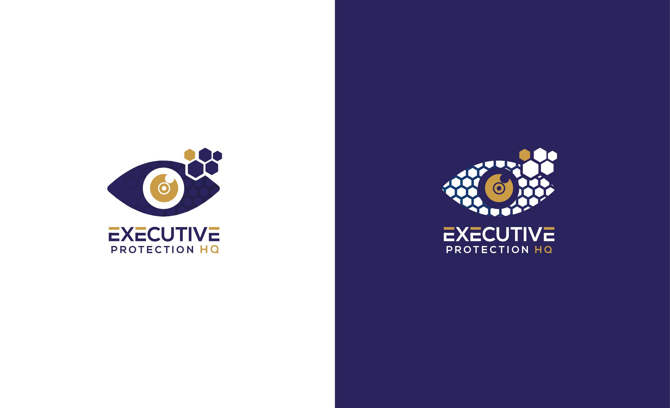 Logo Design by Anton for 360 Protective Solutions LLC | Design #26497632