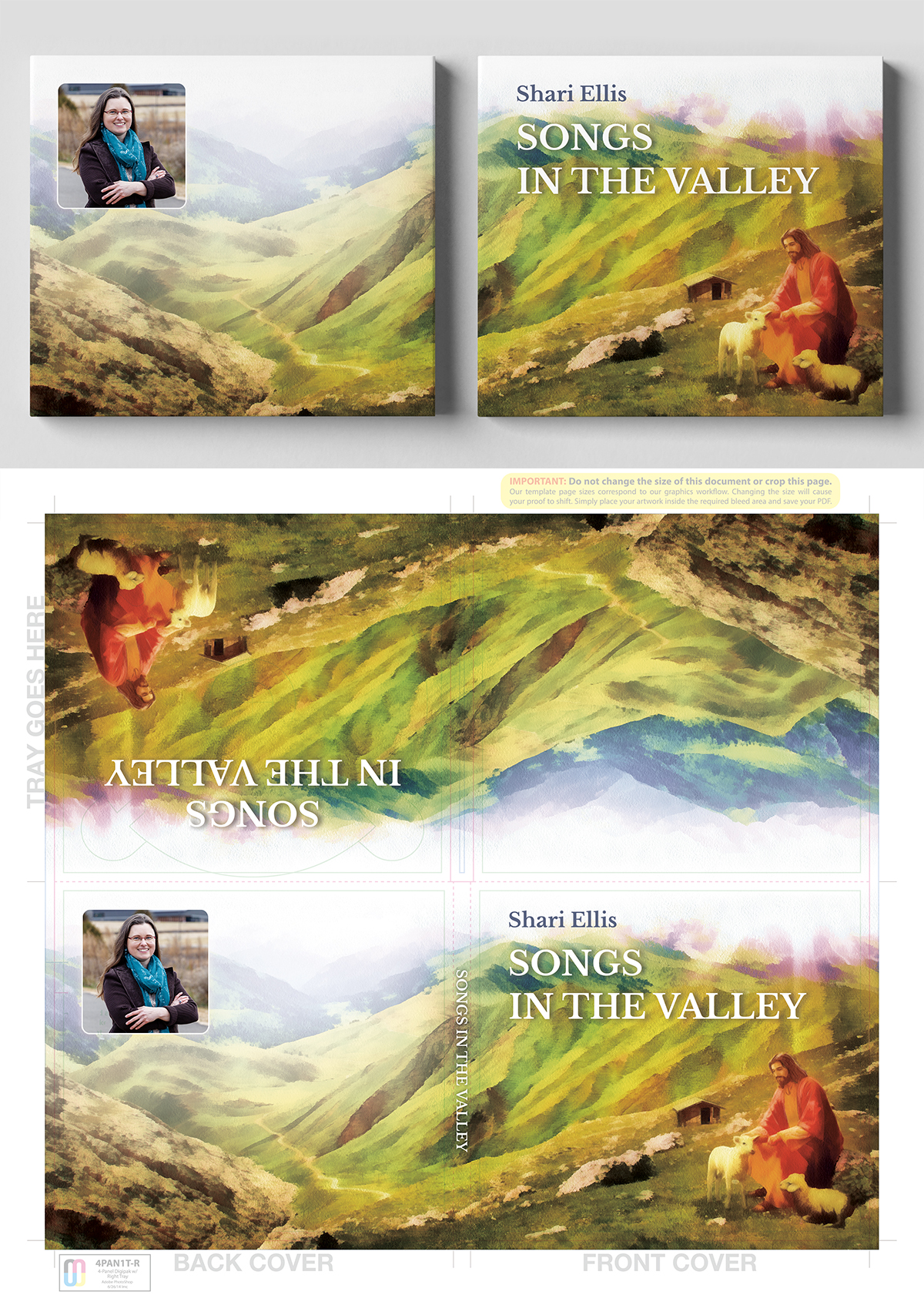 Design de Pochette de CD par Irina AN pour Shari Ellis Music | Design #26517997
