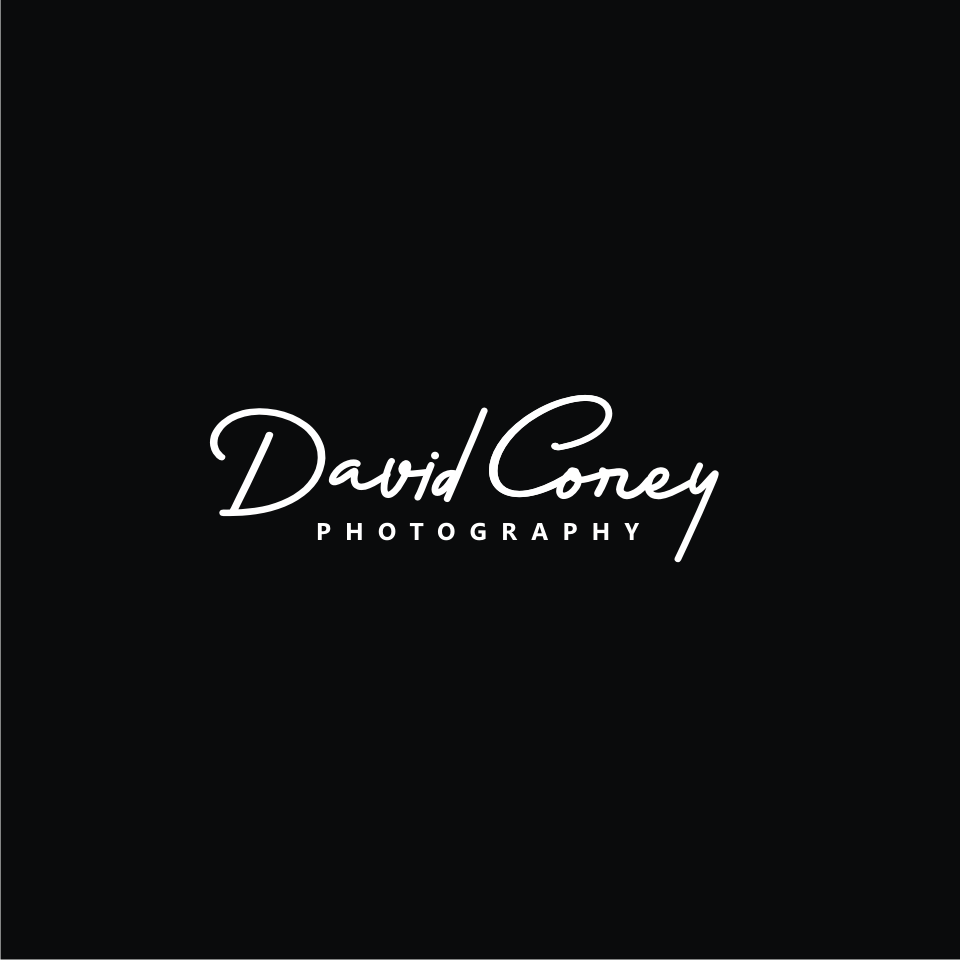 Logo Design by kaya graphics for David Corey Photography | Design #26528009
