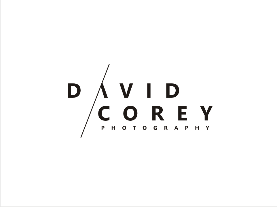 Logo Design by kaya graphics for David Corey Photography | Design #26528136