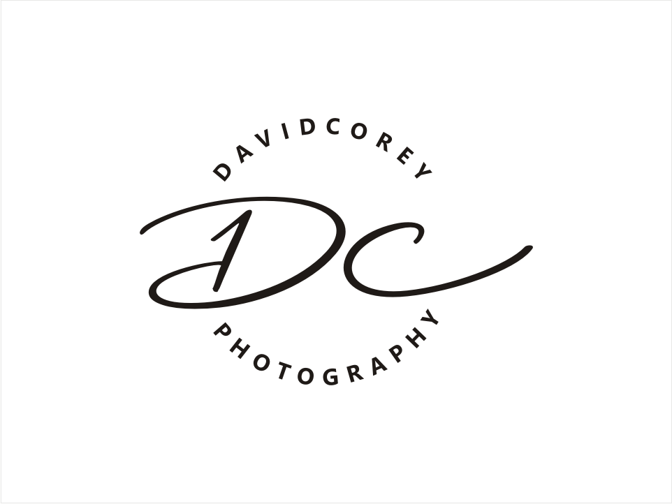Logo Design by kaya graphics for David Corey Photography | Design #26528148