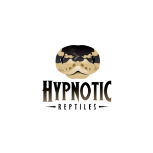 Logo Design by geni for this project | Design #26522599