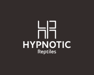 Logo Design by yayangs 2 for this project | Design #26528546