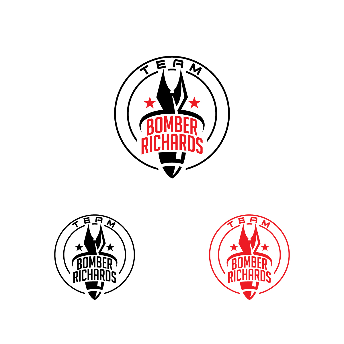 Logo Design by Graphic Bricks for Stormtech Roofing | Design #26500667