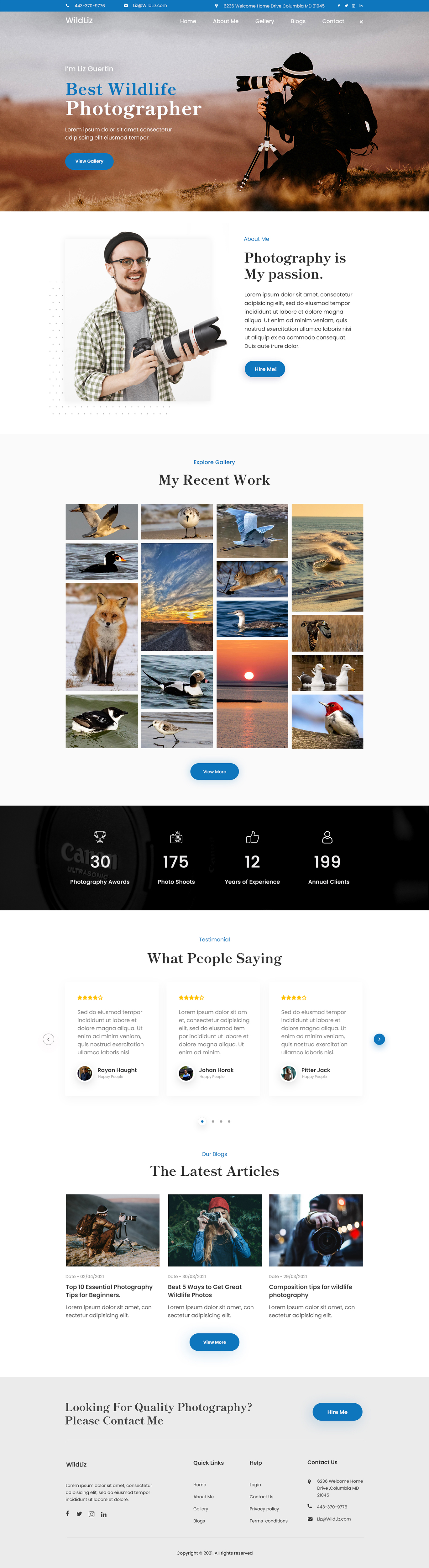 Web Design by Webvalley99 for Lighting Maintenance Inc | Design #26517688